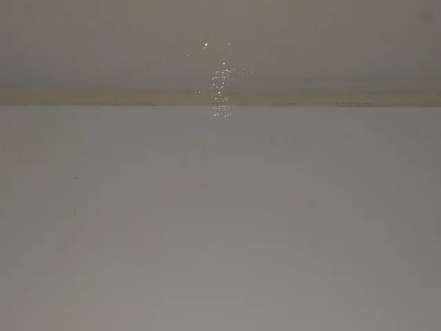 快適空間！常にカビに対して落とす努力をしております！エコ洗剤で洗浄！サービスの画像