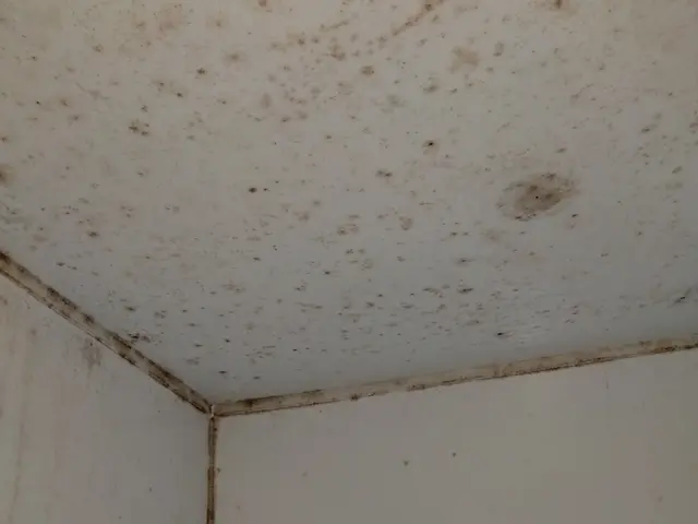 快適空間！常にカビに対して落とす努力をしております！エコ洗剤で洗浄！サービスの画像