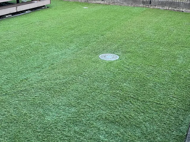"人工芝"　安価なものから専門的なものまでご提案できます！^ ^サービスの画像