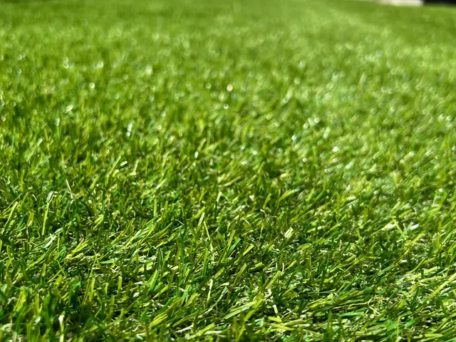 "人工芝"　安価なものから専門的なものまでご提案できます！^ ^サービスの画像