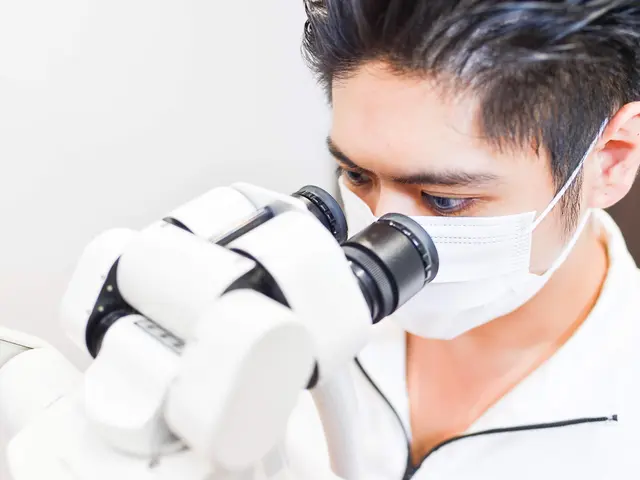 歯科医院撮影サービスの画像