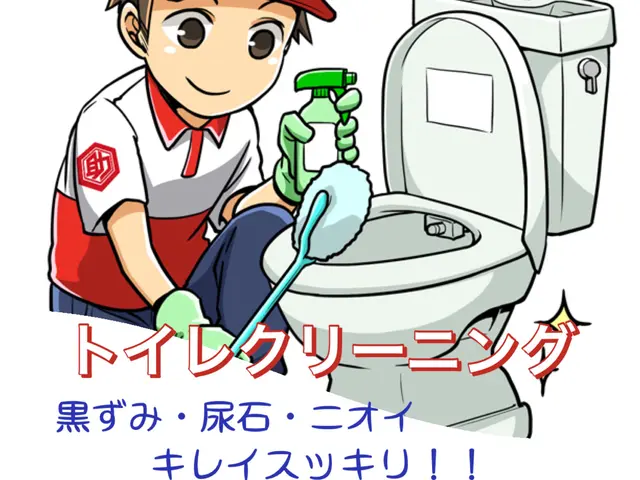 今だけこの価格！トイレクリーニング！便器の尿石や黄ばみもスッキリ綺麗！サービスの画像