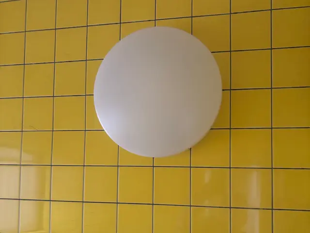 浴室照明器具の交換サービスの画像