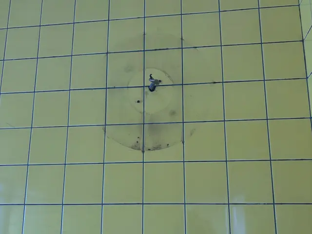 浴室照明器具の交換サービスの画像