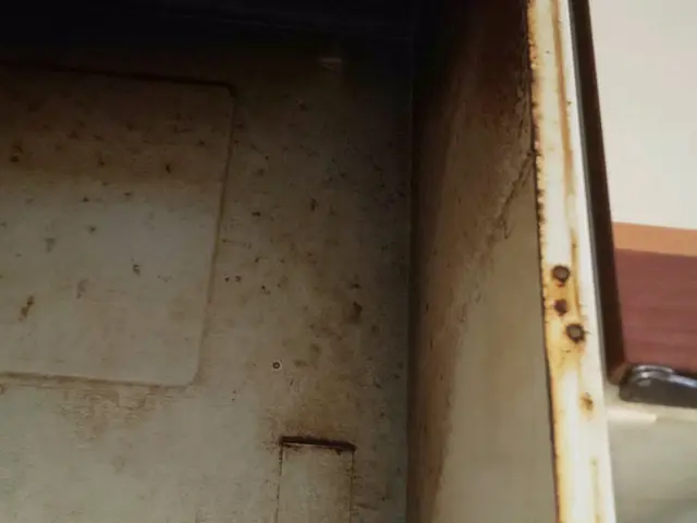 【非喫煙の男女ペアで伺います】土日もOK！ご要望をお聞かせください！P代お店負担サービスの画像