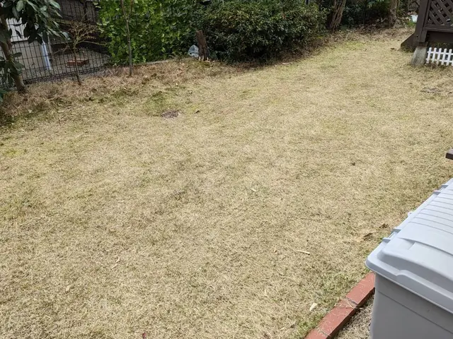 芝刈り(機械)丁寧に作業させていただきます(*^^*)サービスの画像