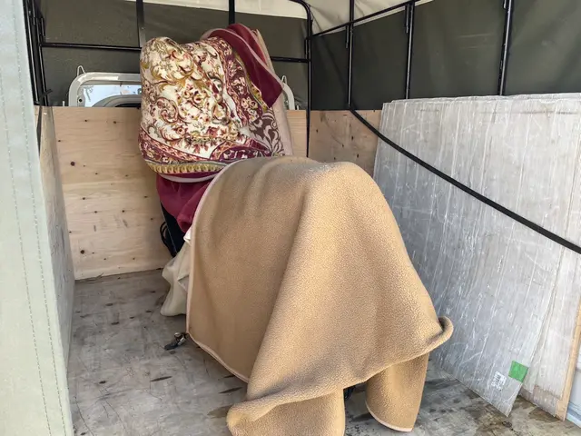 ★安全運転で日本全国どこへでも(^-^)v★オンラインカード決済、後払い対応店★サービスの画像