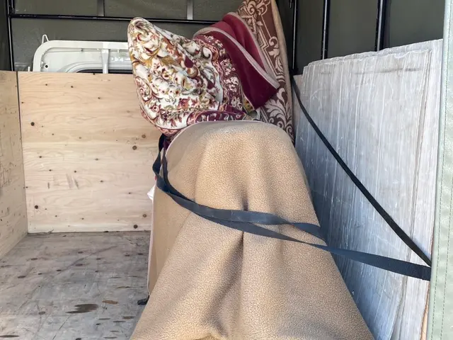 ★安全運転で日本全国どこへでも(^-^)v★オンラインカード決済、後払い対応店★サービスの画像