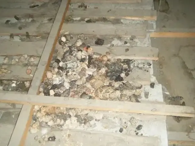 害獣駆除歴10年以上の有資格者多数在籍【事前見積り無料】【事前調査可能】サービスの画像