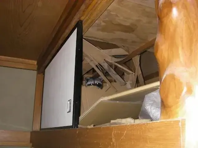 害獣駆除歴10年以上の有資格者多数在籍【事前見積り無料】【事前調査可能】サービスの画像