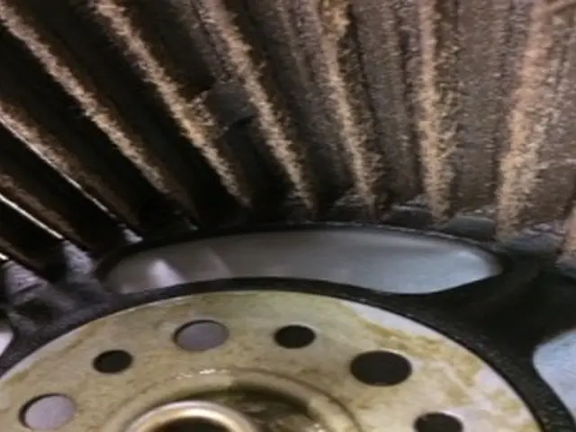 [女性スタッフが同行！] 任せて安心！細かい丁寧な作業が大好評！サービスの画像