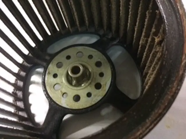 [女性スタッフが同行！] 任せて安心！細かい丁寧な作業が大好評！サービスの画像