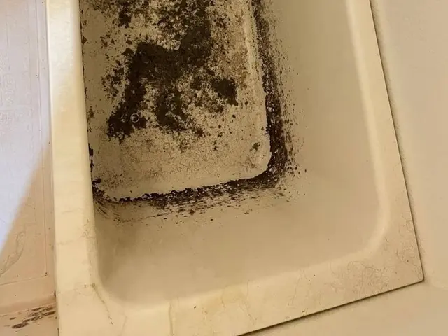 2人作業で効率的！ご気軽にご相談ください♪サービスの画像