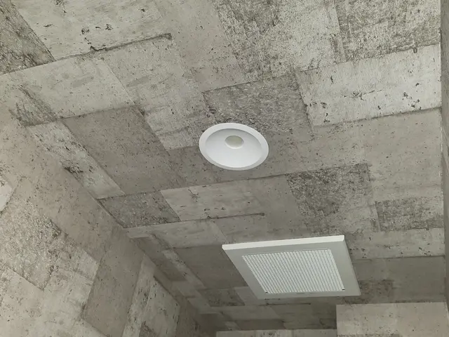 ◆業歴25年以上★シーリングライトの交換、ダウンライトの交換サービスの画像