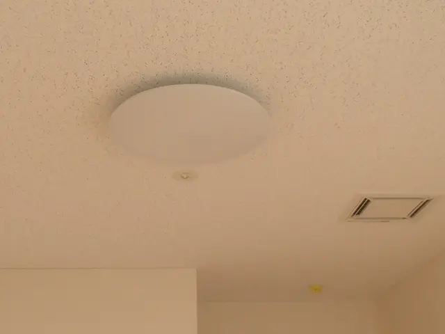 ◆業歴25年以上★シーリングライトの交換、ダウンライトの交換サービスの画像