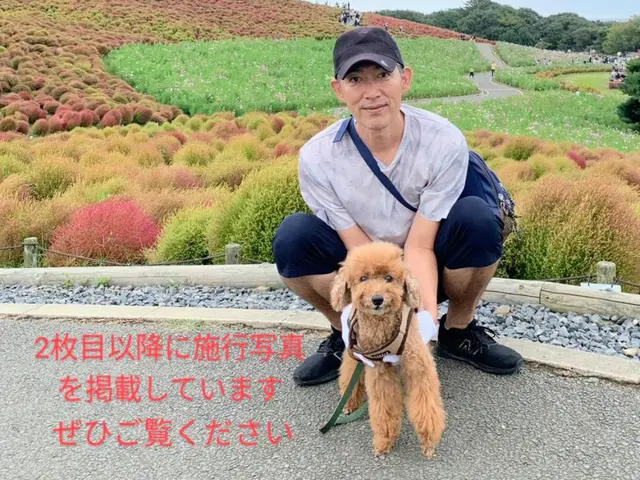 【完全自社施工】　電気工事士・防犯設備士が伺います！　損害保険加入済みで安心ですサービスの画像