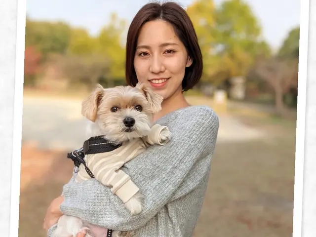 11年経験！女性トリマーが訪問！自宅で安心◎ワンちゃん最優先！サービスの画像