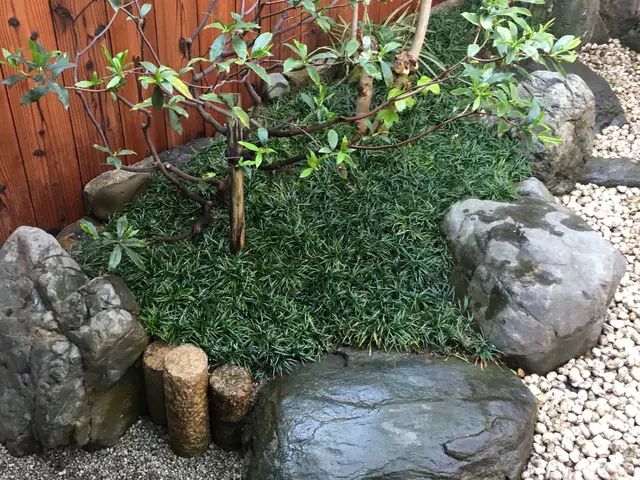 作業は丁寧で安心と高評価です、お気軽にご依頼ください！サービスの画像