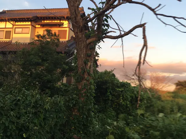 ◆年中無休◎店長の私が夫婦で伺います◎大手業務経験豊富★広く平坦な土地も対応可能サービスの画像