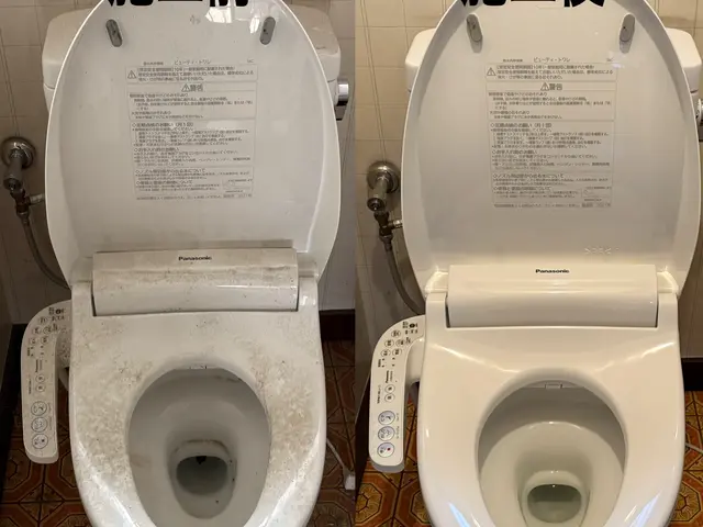 水回りクリーニングは技術が差が出やすい箇所です　是非お任せくださいサービスの画像