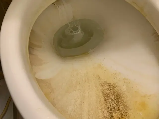 《営業時間外も対応可◎》女性スタッフ在籍！損害保険加入◎トイレ丸ごとスッキリ清掃サービスの画像