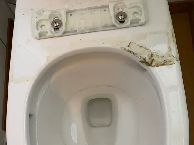 《営業時間外も対応可◎》女性スタッフ在籍！損害保険加入◎トイレ丸ごとスッキリ清掃サービスの画像