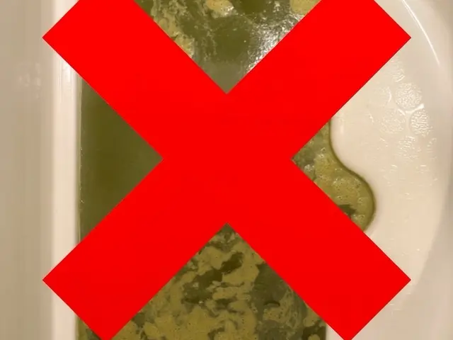 バイオフィルム除去付き◎特許技術を用いて、ご満足いただけるまで心を込めて作業いたサービスの画像