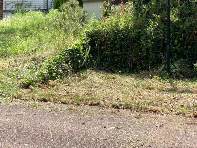 お庭、空家、農地などきれいにスッキリさせます！ぜひお気軽にご相談ください♪サービスの画像