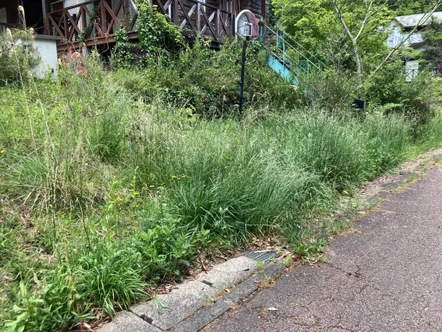 お庭、空家、農地などきれいにスッキリさせます！ぜひお気軽にご相談ください♪サービスの画像