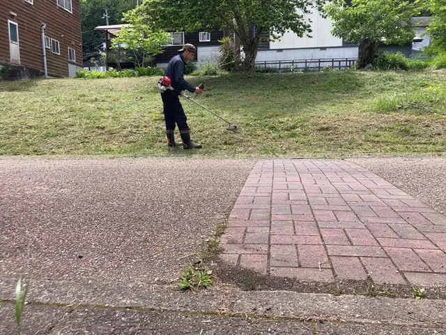 お庭、空家、農地などきれいにスッキリさせます！ぜひお気軽にご相談ください♪サービスの画像