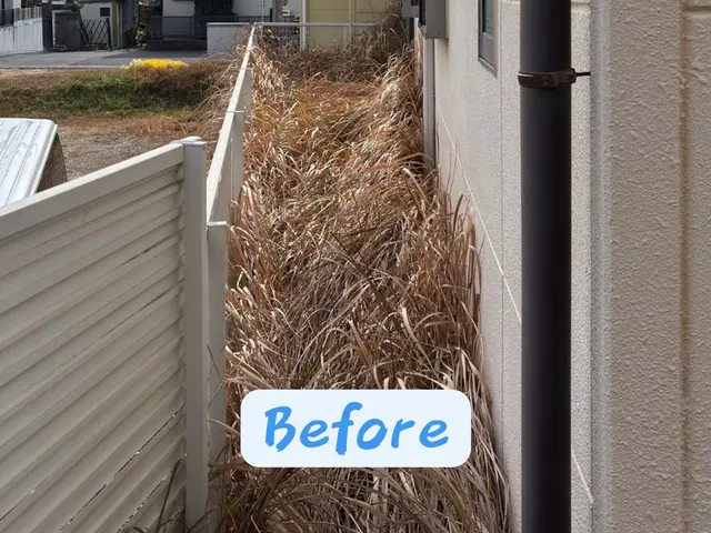 【格安キャンペーン中】まごころ草むしりサービス！サービスの画像