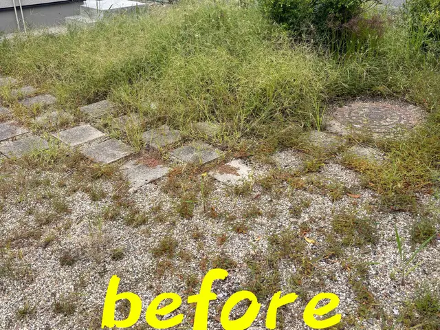 まごころ草むしりサービスサービスの画像