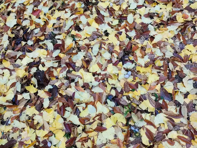 メッセージにて作業内容、写真、希望作業日をお送り頂きますとお見積りいたします。サービスの画像