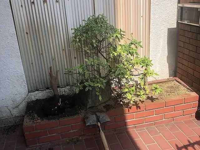 【業歴10年以上の経験】作業外注なし！仕上がり保証あり！お任せください！サービスの画像