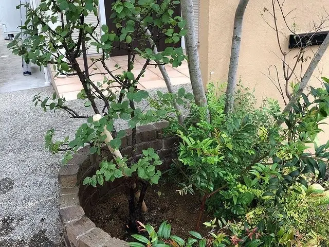 【業歴10年以上の経験】作業外注なし！仕上がり保証あり！お任せください！サービスの画像