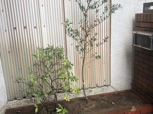 【業歴10年以上の経験】作業外注なし！仕上がり保証あり！お任せください！サービスの画像