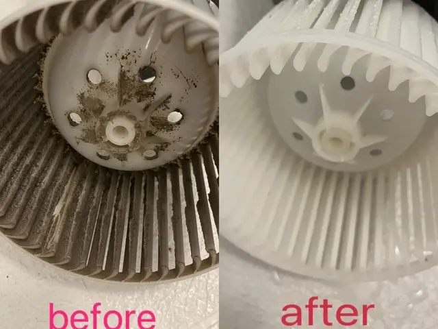 【日々使用する空間を快適に！】カビは徹底駆除！！！サービスの画像