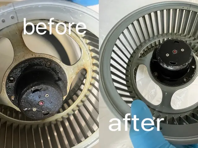 【日々使用する空間を快適に！】カビは徹底駆除！！！サービスの画像