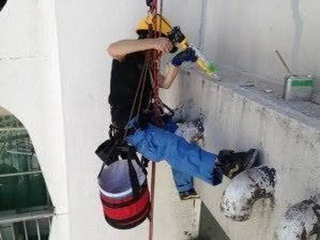 作業外注一切なし◎ロープ作業で雨漏り止水工事コーキングサービスの画像