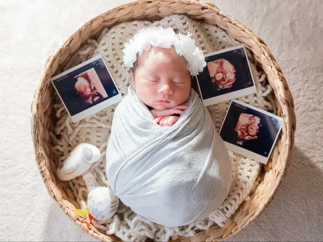 【前日・当日でも対応可能】こども専門フォトグラファーによる高水準フォト