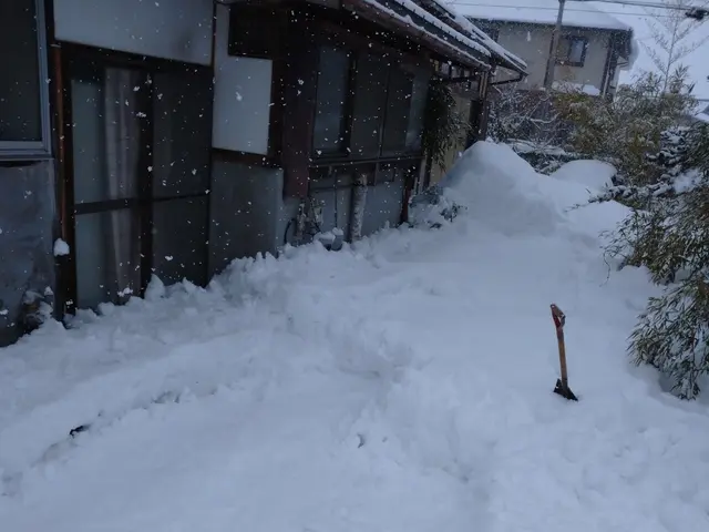 ◆雪かき代行します◆お得な割引がございます！サービスの画像