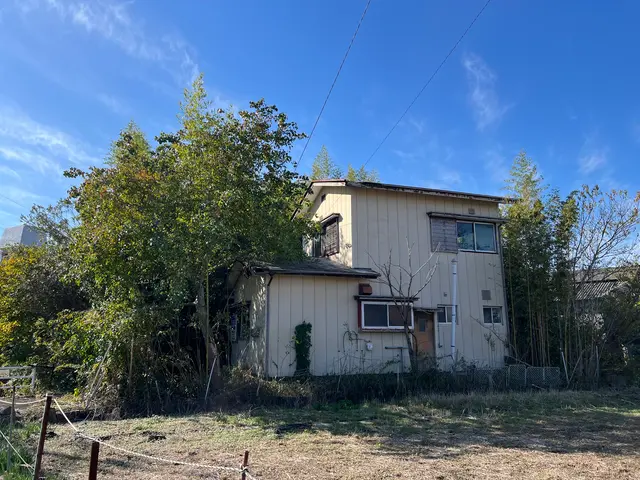 伐採、竹林の伐開等お任せ下さい。サービスの画像