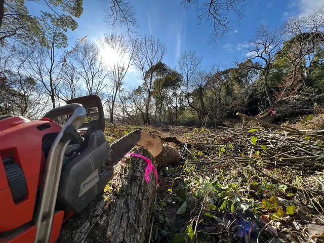 伐採、竹林の伐開等お任せ下さい。サービスの画像