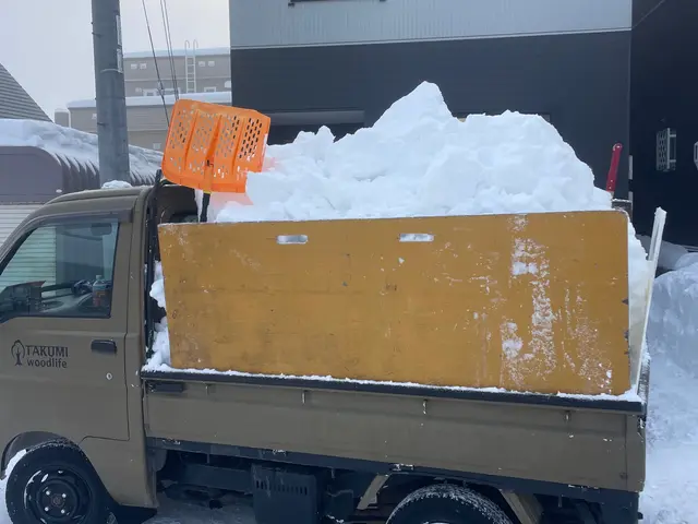 【損保加入済】カーポート／屋根の雪下ろし／雪庇除去もお任せ下さい※作業は人力ですサービスの画像