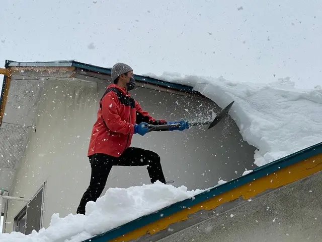 【損保加入済】カーポート／屋根の雪下ろし／雪庇除去もお任せ下さい※作業は人力ですサービスの画像