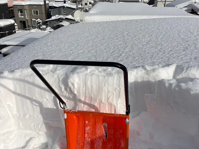 【損保加入済】カーポート／屋根の雪下ろし／雪庇除去もお任せ下さい※作業は人力ですサービスの画像