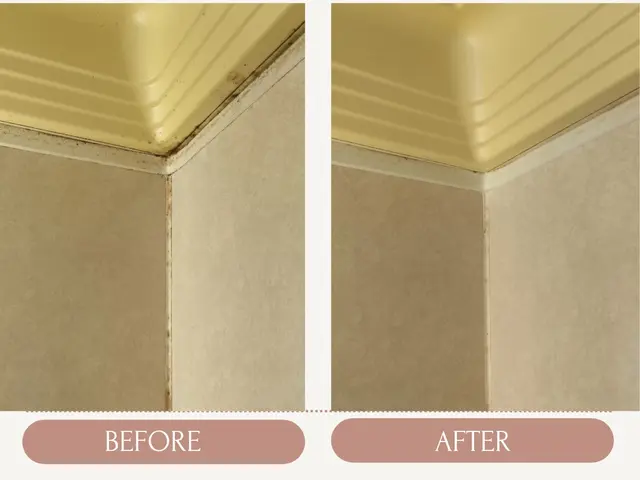 【年末大掃除早割キャンペーン中】キッチンと換気扇掃除サービスの画像