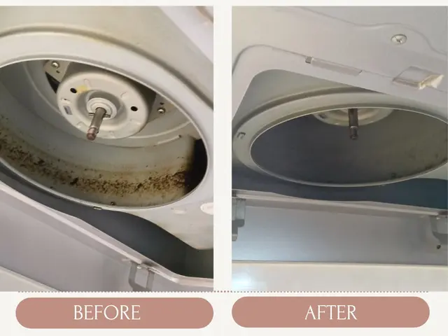 【年末大掃除早割キャンペーン中】キッチンと換気扇掃除サービスの画像