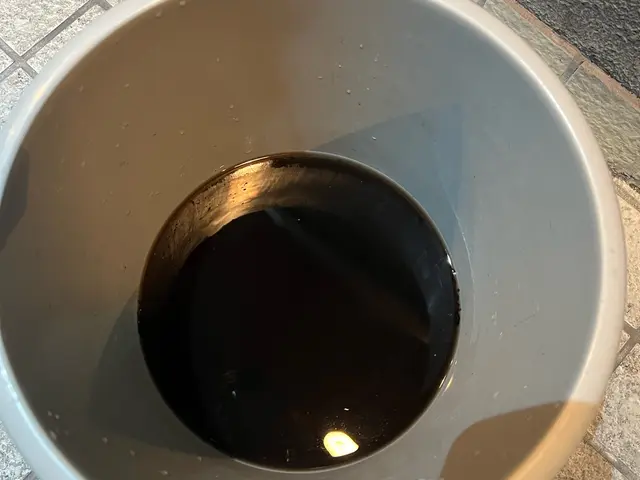 【抗菌コートサービス中】◎複数割◎お子様、ペットに優しい洗剤◎電気工事士が作業サービスの画像