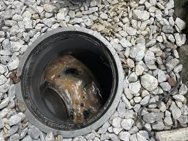 翌日対応、事前にお見積もりも可能です。ご希望の方はお気軽にお問い合わせ下さい。サービスの画像